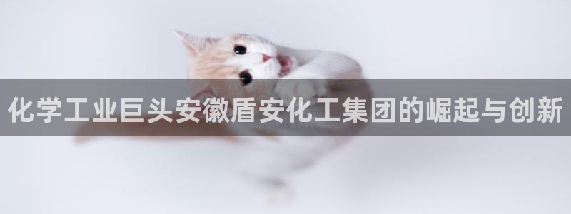 球盟会能提现吗是真的吗