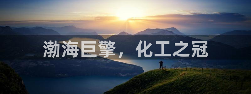 球盟会电子好下吗：渤海巨擎，化工之冠