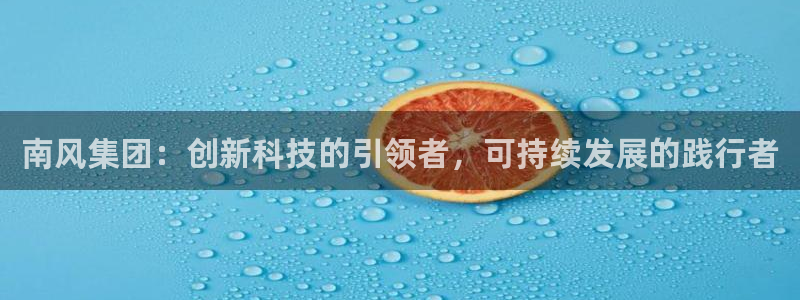 球盟会电子好黑：南风集团：创新科技的引领者，可持续发展的践行