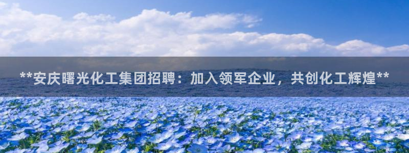 球盟会：**安庆曙光化工集团招聘：加入领军企业，共创化工辉煌