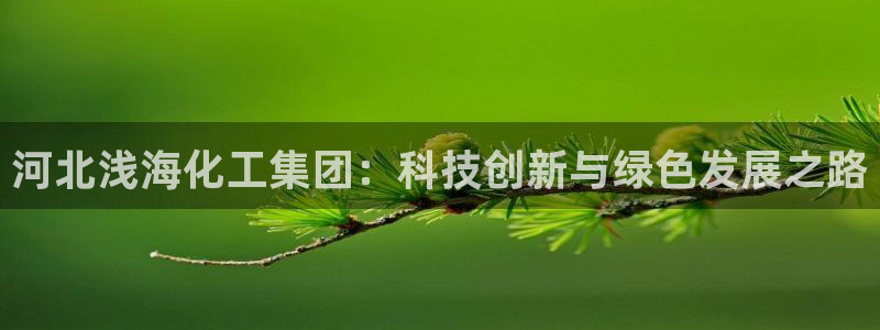 球盟会：河北浅海化工集团：科技创新与绿色发展之路