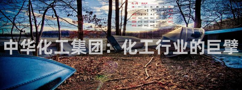 球盟会中国网页登录