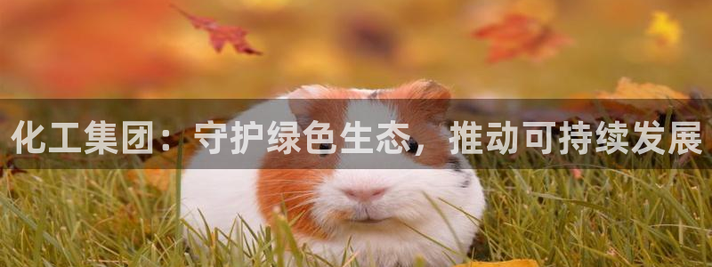 球盟会用的客服聊天是哪个软件：化工集团：守护绿色生态，推动可