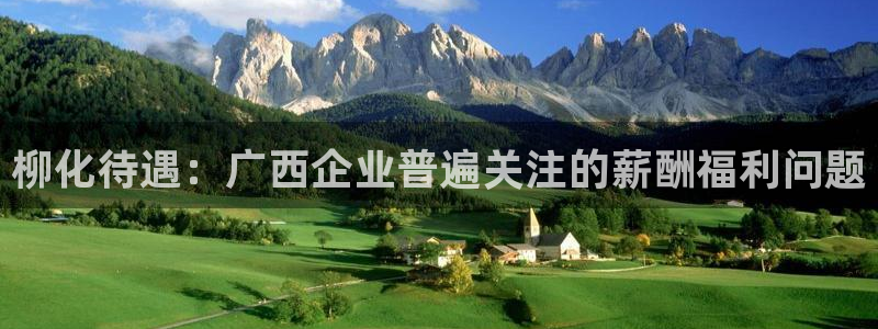 球盟会官方：柳化待遇：广西企业普遍关注的薪酬福利问题