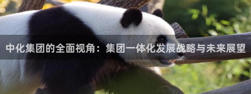 球盟会在线网站：中化集团的全面视角：集团一体化发展战略与未来