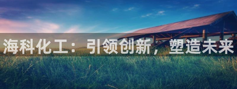 球盟会可以提现么现在：海科化工：引领创新，塑造未来