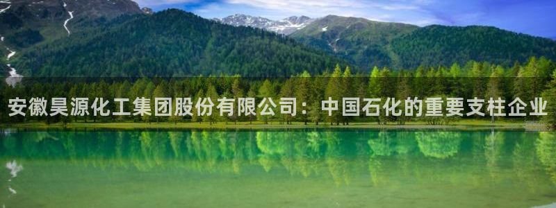 球盟会官方入口：安徽昊源化工集团股份有限公司：中国石化的重要