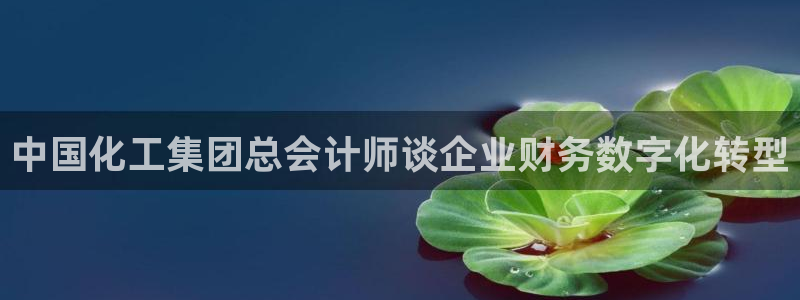 球盟会电子好黑