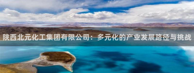 球盟会游戏：陕西北元化工集团有限公司：多元化的产业发展路径与