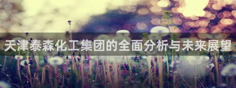 球盟会可以提现么现在：天津泰森化工集团的全面分析与未来展望