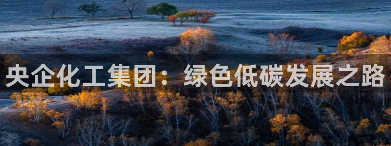 球盟会电子好黑：央企化工集团：绿色低碳发展之路